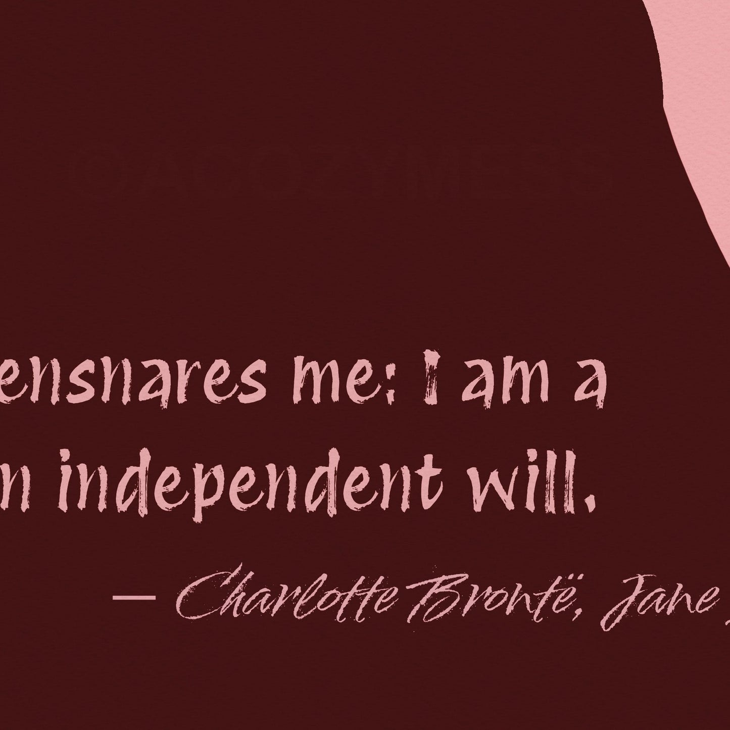 Art print of a woman in pink, orange, and brown tones with a quote from Jane Eyre reading 'I am no bird; and no net ensnares me; I am a free human being, with an independent will.'