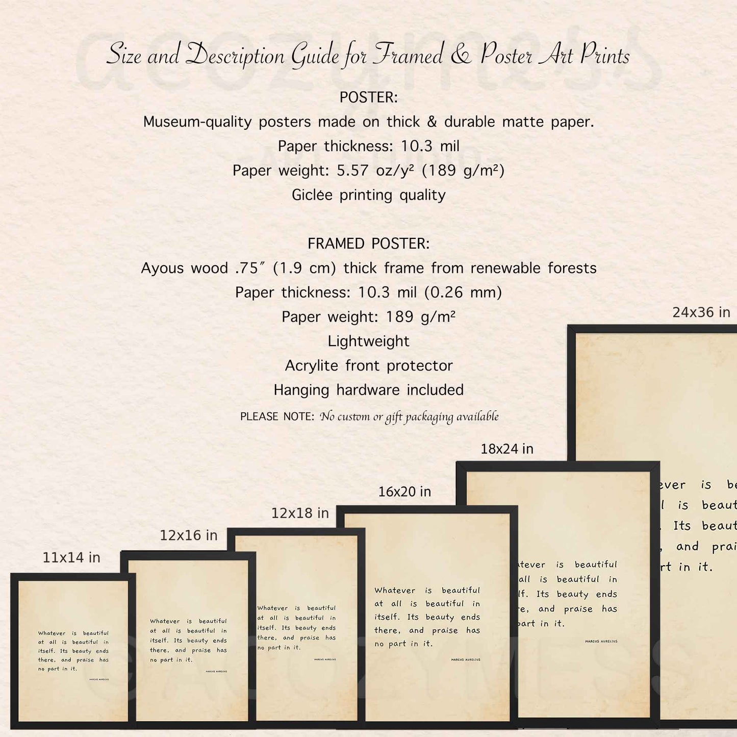 Stoicism poster framed and unframed poster