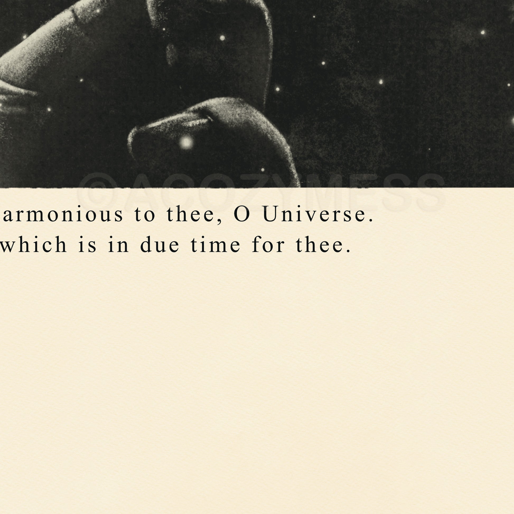 Mystical Stoic philosophy poster in black and beige featuring Marcus Aurelius quote about harmony with the universe