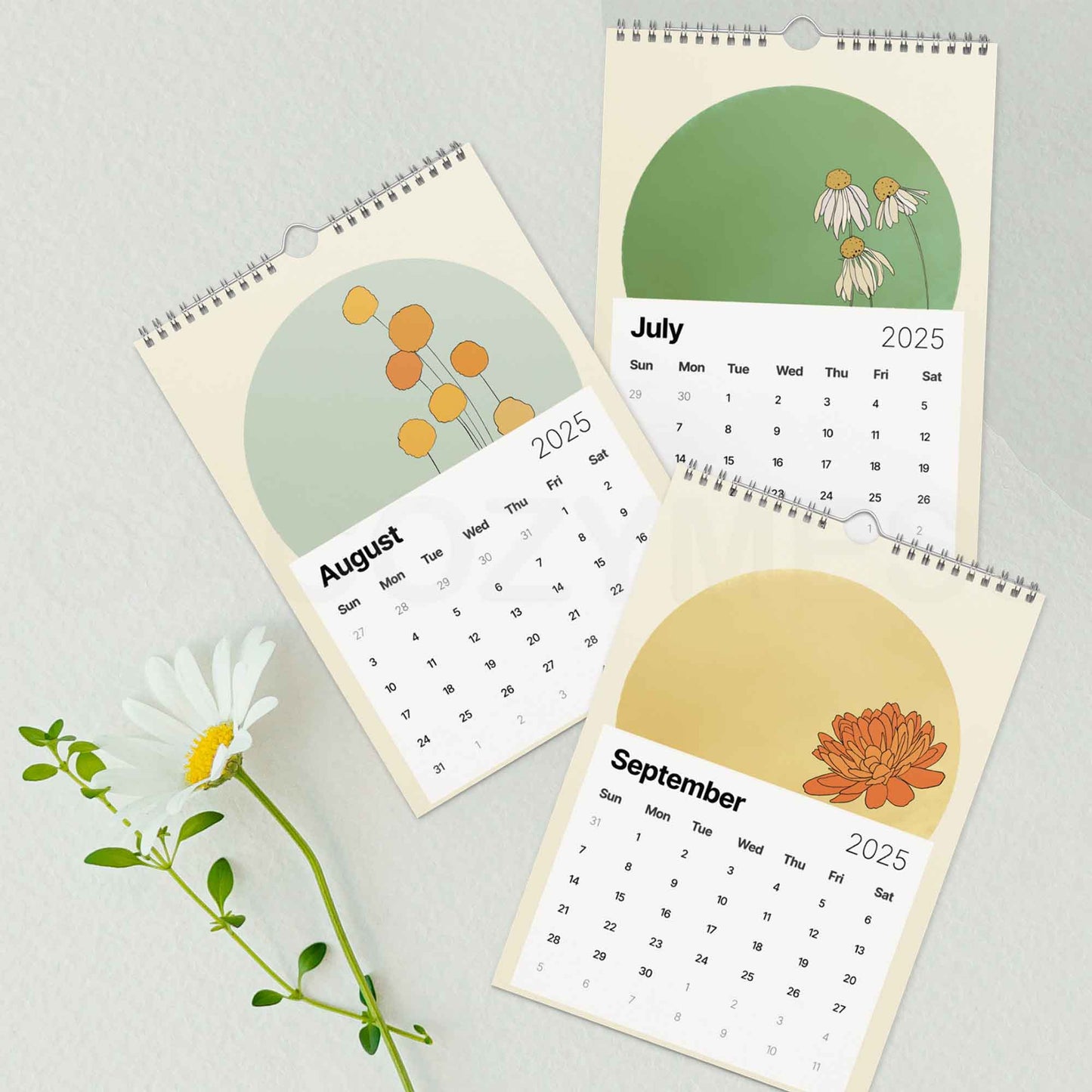 2025 illustration calendar with colorful art on each page