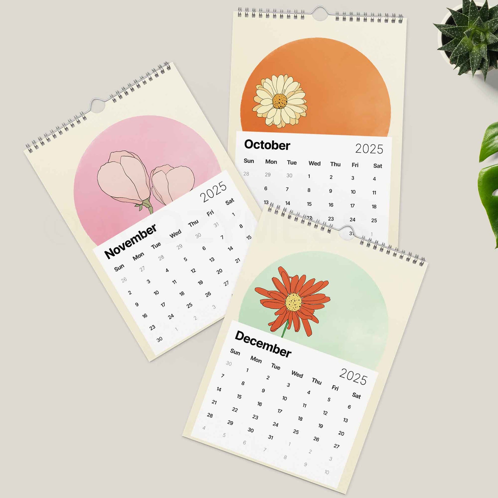 2025 illustration calendar with unique illustration for every month