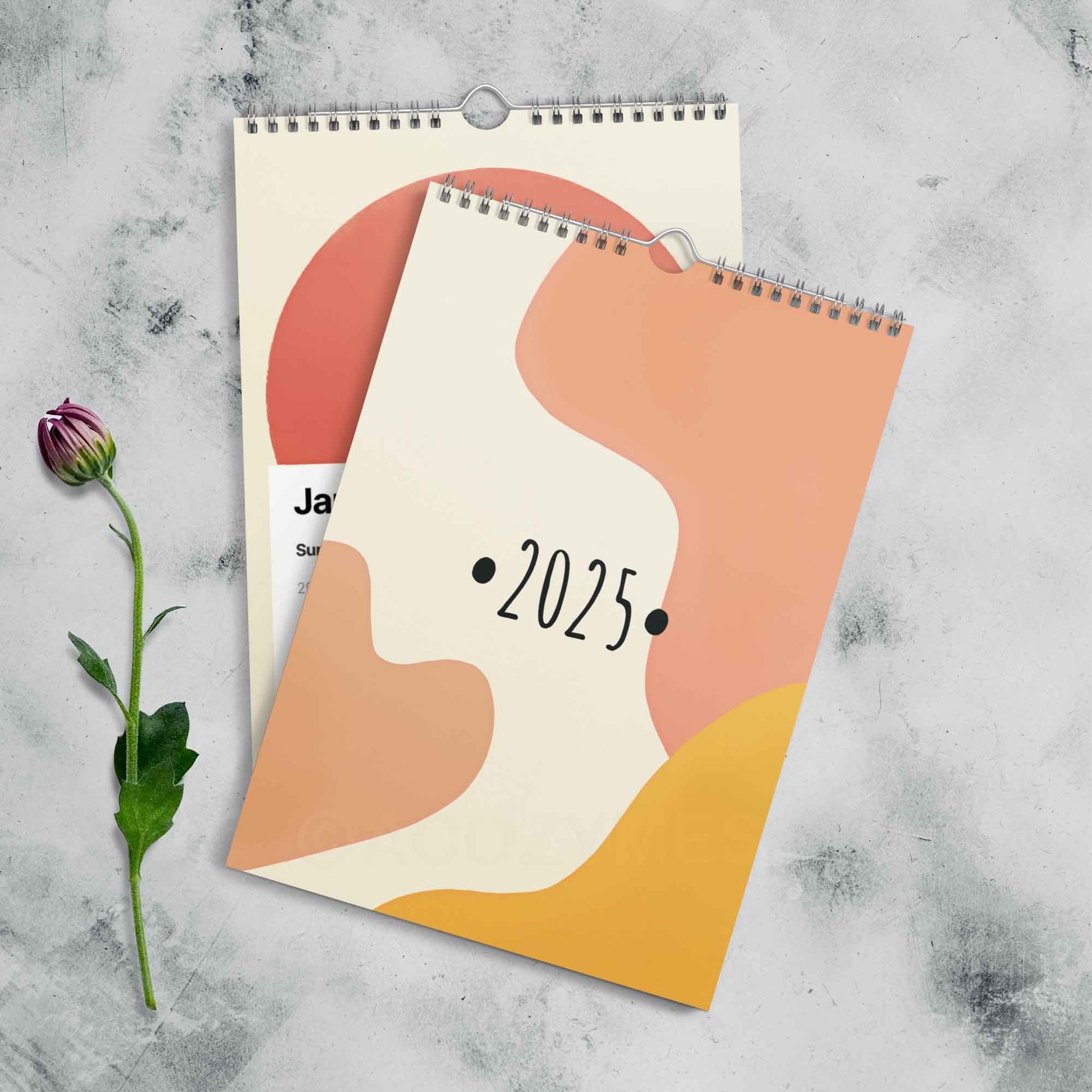 2025 illustration calendar