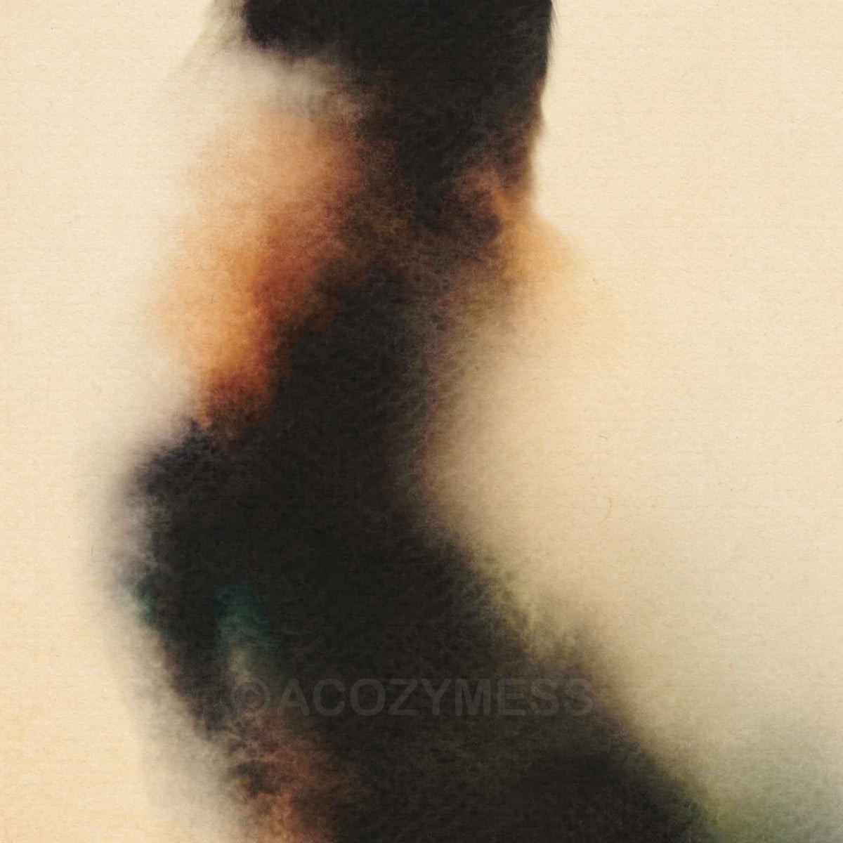 Close-up of soft watercolor texture in the cat's ink black fur with warm amber and cream tones