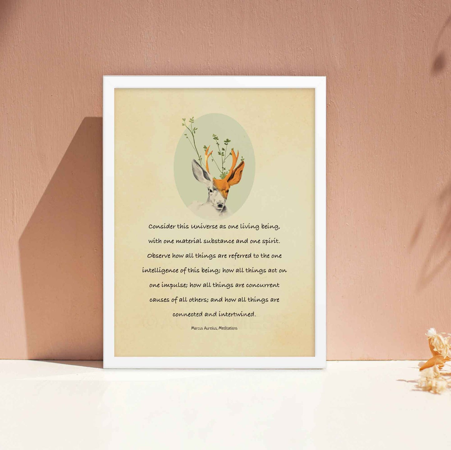 Marcus Aurelius Quote On Universe with an illustration of a deer, displayed in white frame.