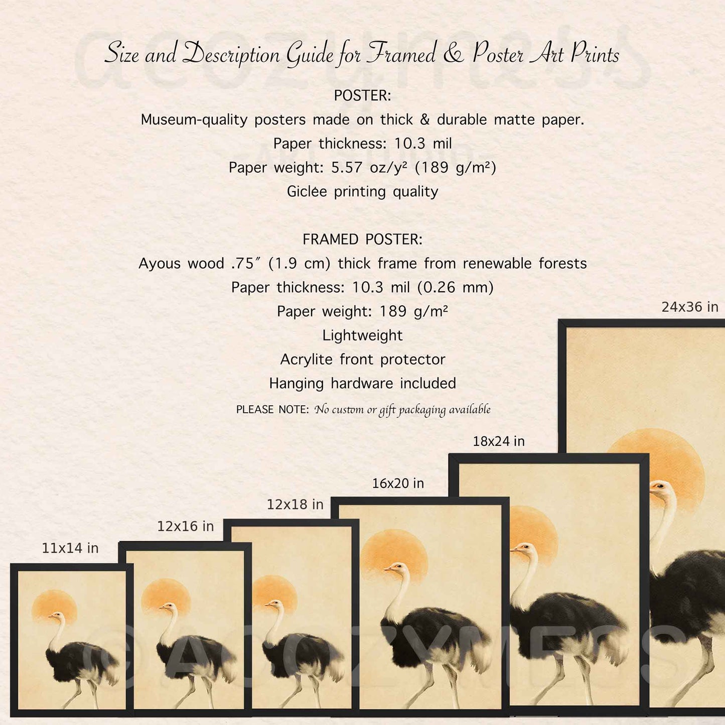 A size and description guide for framed and poster art prints, showing several framed prints of Ostrich in different sizes with text detailing poster and framed print specifications on a light beige background.