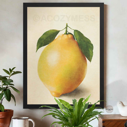 Framed artwork of a lemon with leaves on a wall in a room with plants and a coffee cup.