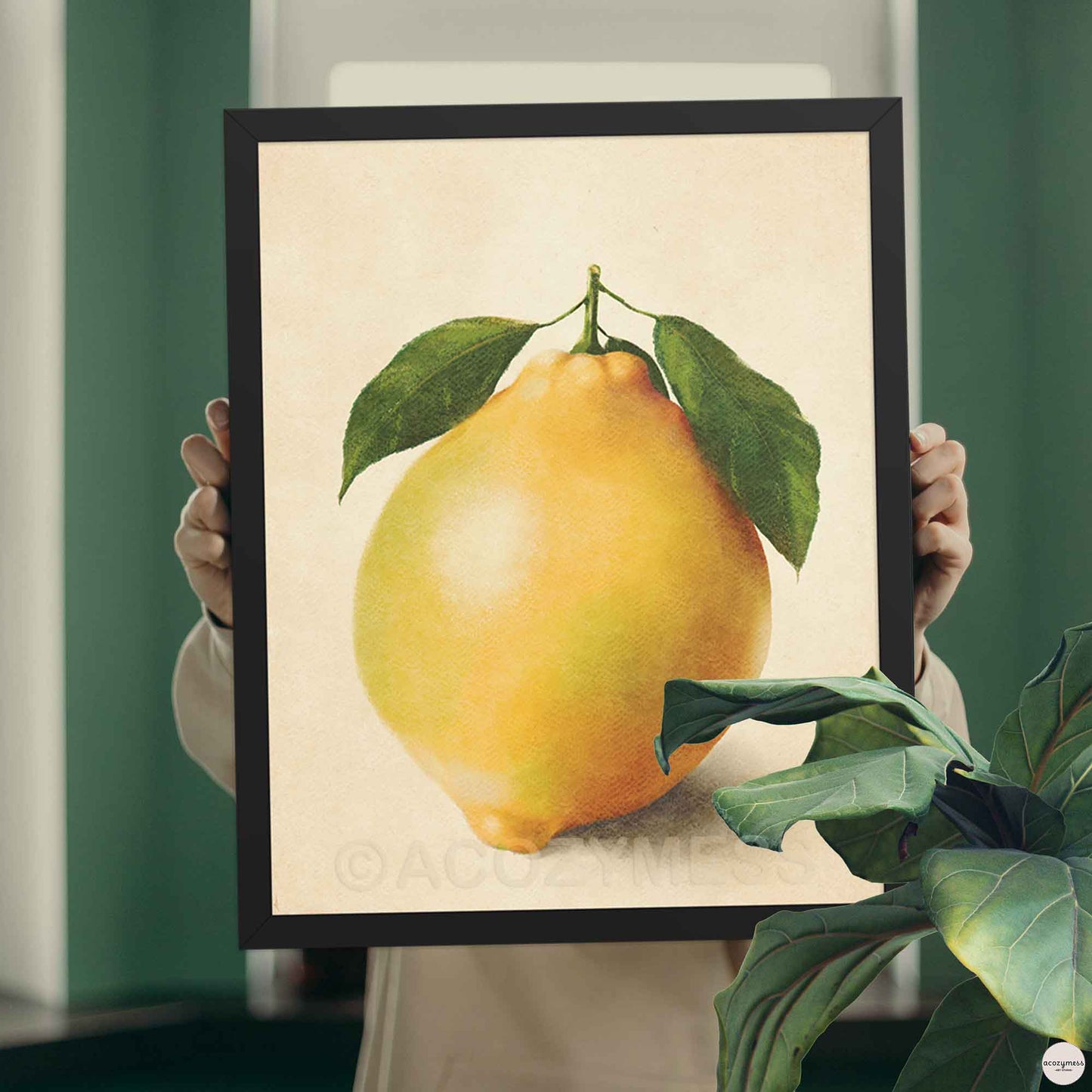 Framed artwork of a lemon with green leaves held by a person.