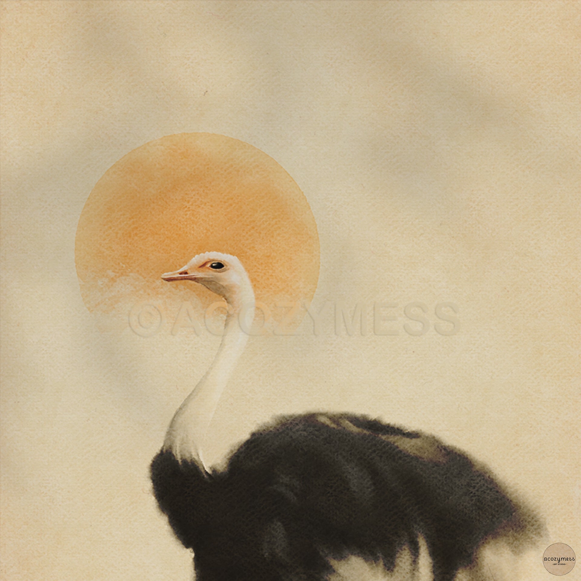 Ostrich Bird wall art decor.